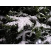 Display Snow Medium on Tree