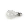 Special Effects Flashbulbs