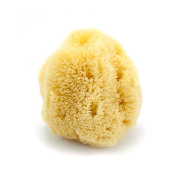 Sea Sponge - Makeup Sponge
