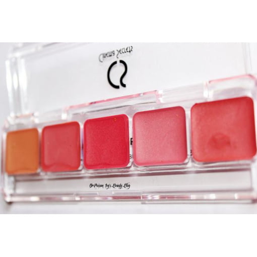 5-in-1 Ultimate Lip Palette with Long Staying Power