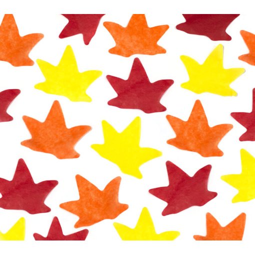 Sycamore Leaf Confetti