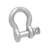 3/8" D Ring Shackle