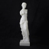 Breakaway Ceramic Art Assorted - Stunt Props