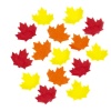 Canadian Maple Leaf Confetti - Fall Festival Confetti