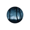 Rosco Halloween Gobo Glass - Spooky Mist Woods