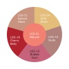 Ben Nye Lip Gloss Wheel LGW Colour Chart